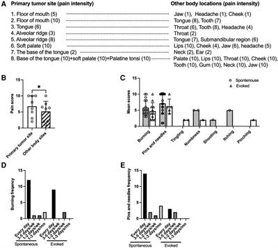 A pilot study to improve pain phenotyping in head and neck cancer patients